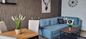 VILLA NORTH Apartament, Władysławowo